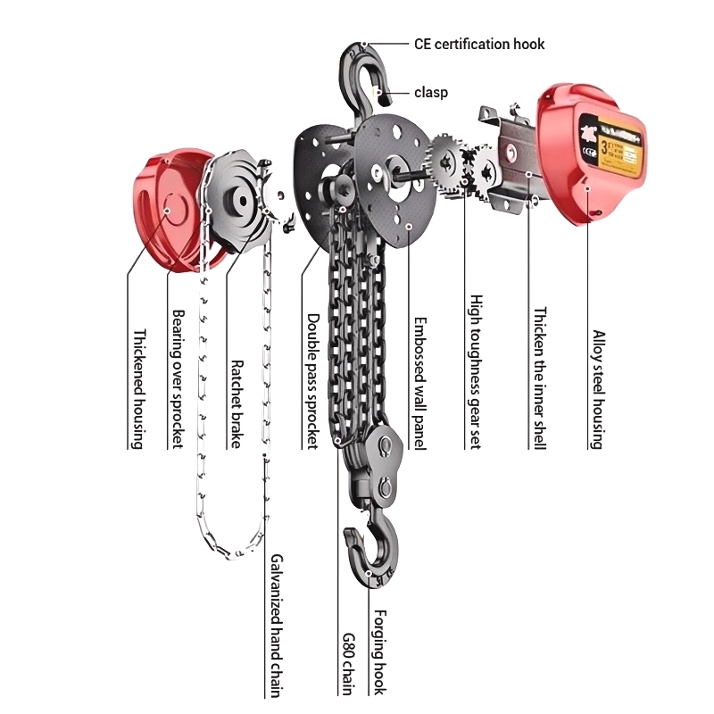 HS/C C C C mit kürbisse und kürbisse
